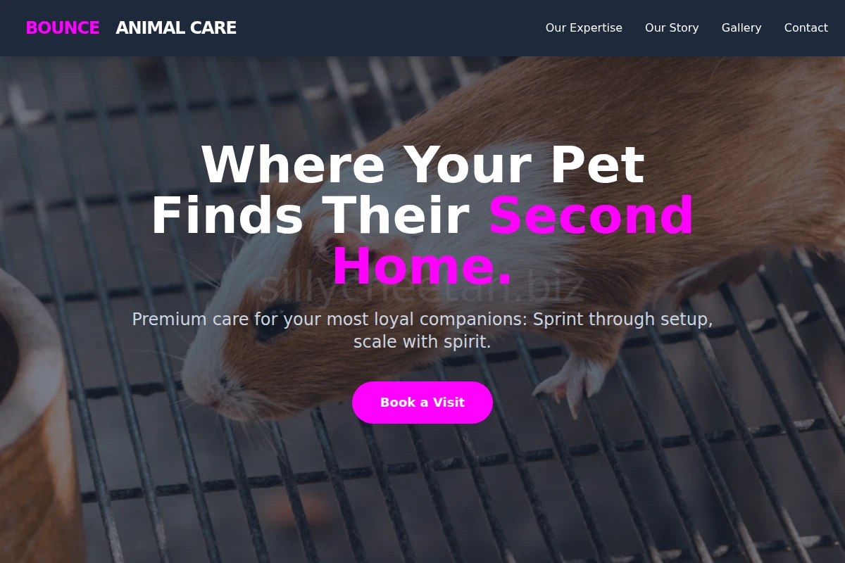 Bounce Animal Care
