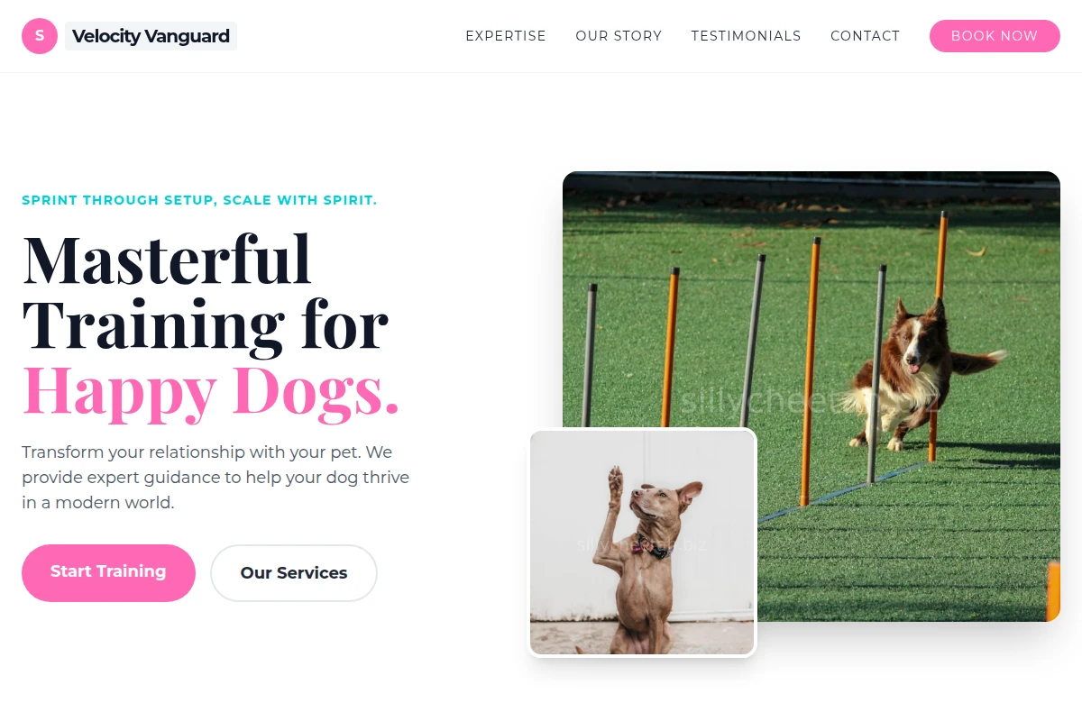 Snappy Dog Training