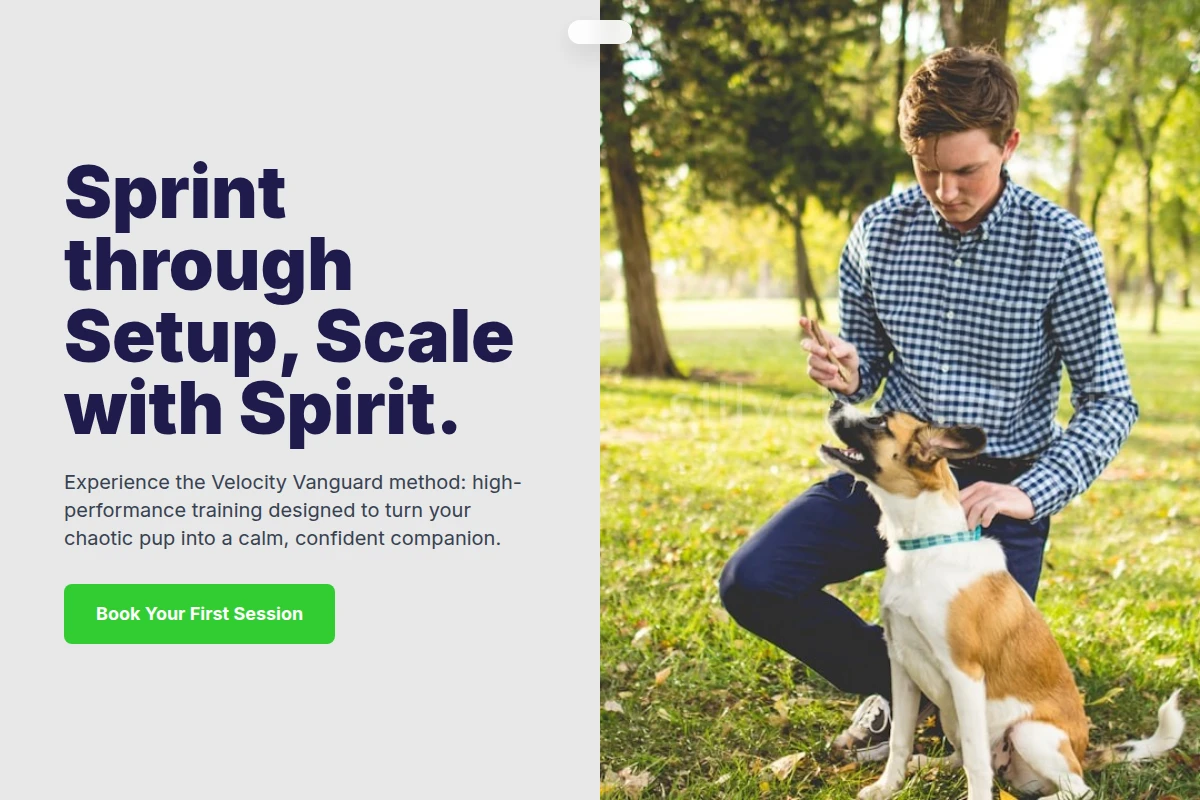 Cheerful Dog Training