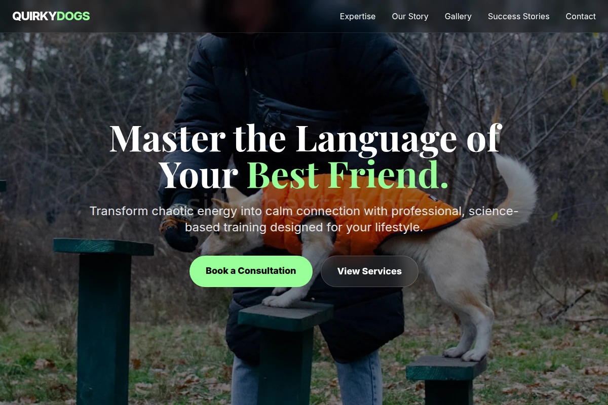 Quirky Dog Training