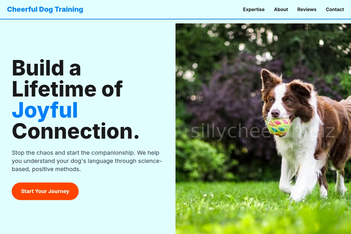 Cheerful Dog Training