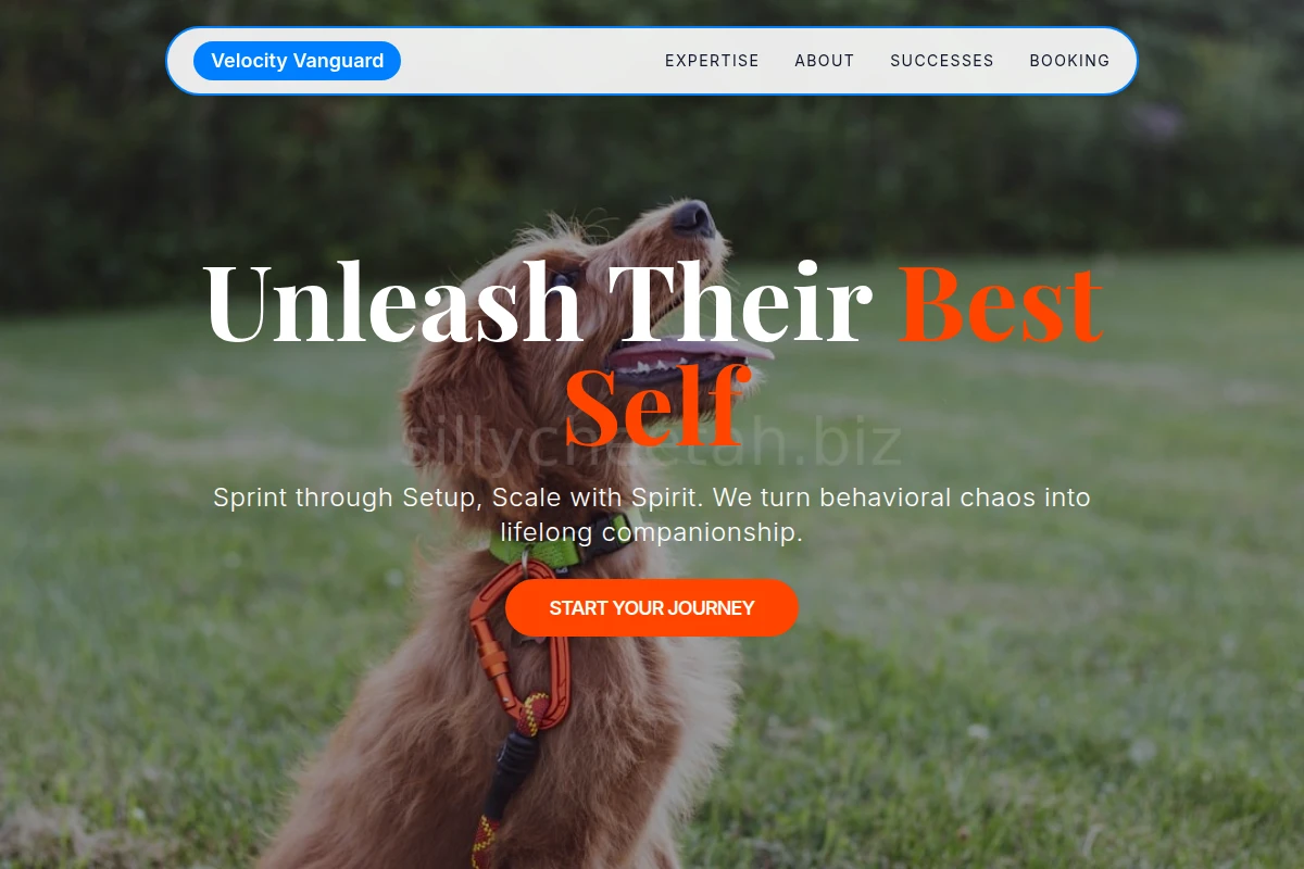 Approachable Dog Training