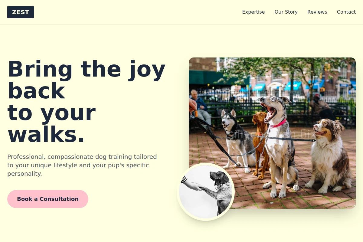 Zest Dog Training