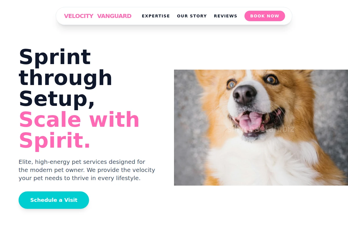 Bold Pet Services